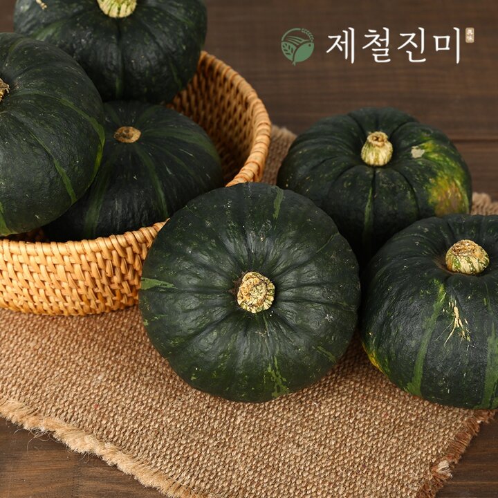 [G]제주 햇 미니밤단호박 특품 로열과 5kg 10-17과 (개당 300-600g)