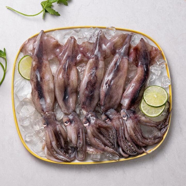 급랭 총알 통찜용 오징어 2kg (16-32미)