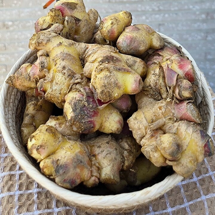 국내산 흙생강 1kg 알뜰