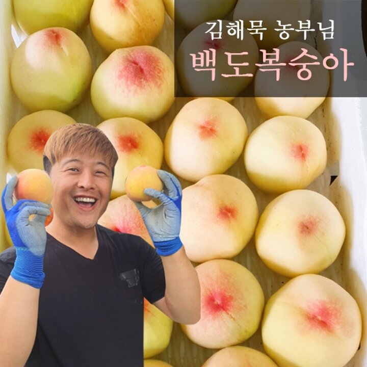 [7월초출고]예천 백도복숭아 2.5kg(14과내, 중과)