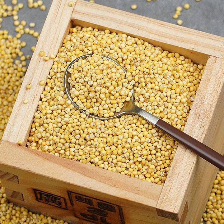 채운_찰기장 1kg
