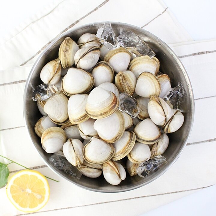 서해안 동죽(물총조개) 2kg