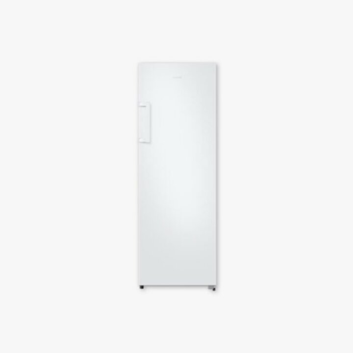 삼성 냉동고 RZ22CG4000WW 배송무료