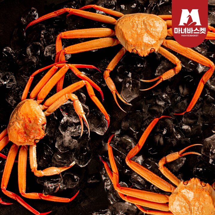 [마녀바스켓] 정품 생물 박달홍게(중) 2kg (5-6미 내외) 동해안 홍게