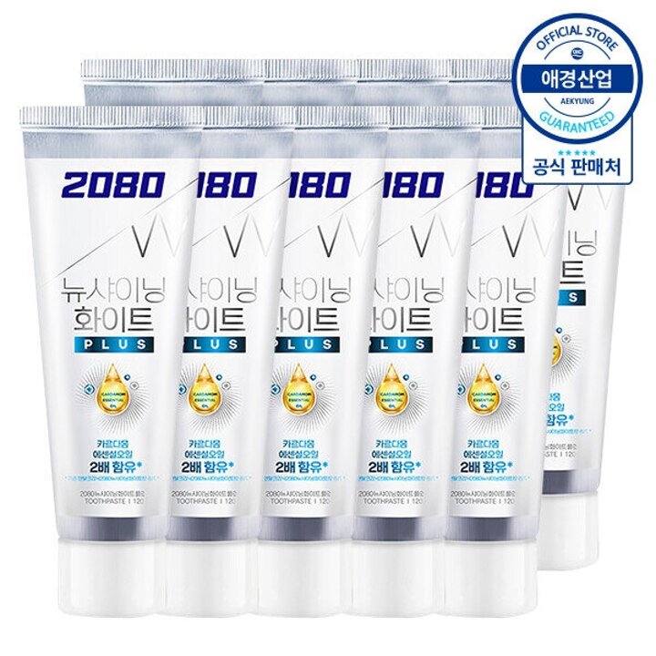2080 뉴샤이닝 화이트플러스 치약140g x10개