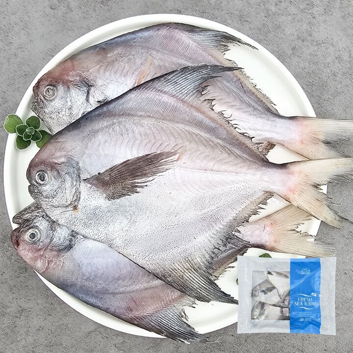 자연산 손질 병어 1kg내외 (조림용,500gx2팩)
