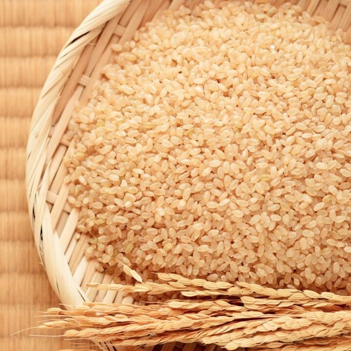 국산 현미 5kg