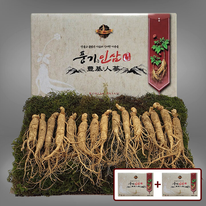 [10개구매시1개증정][풍기인삼] 5년근 수삼 500g (15-17뿌리/쇼핑백 증정) x 2박스