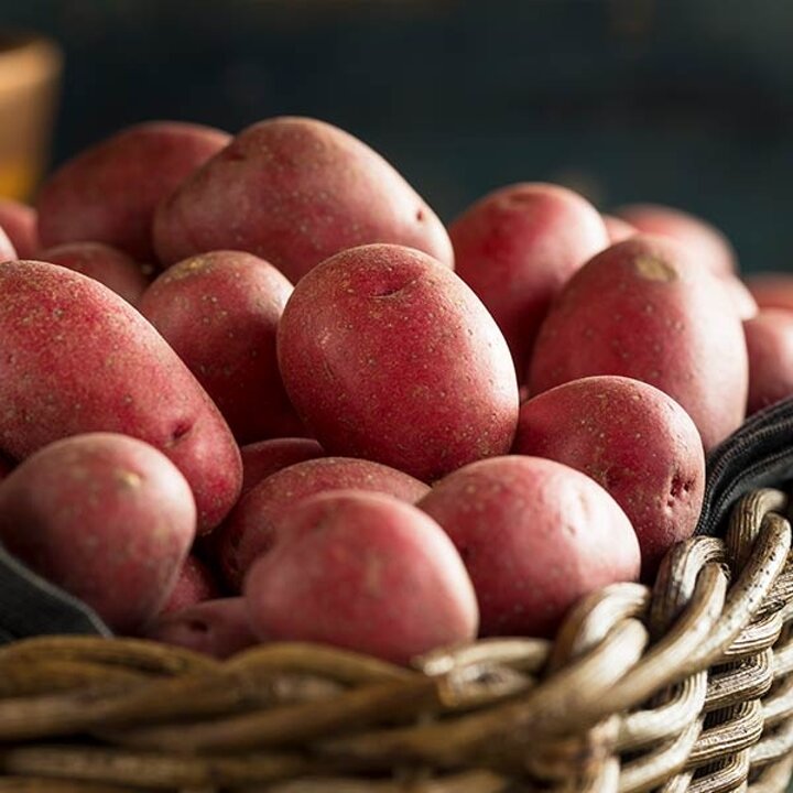 농장직송 카스테라 홍감자 2kg (대)
