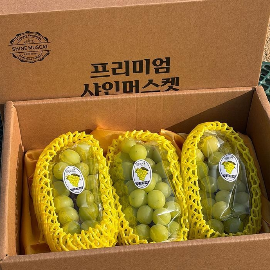 (주)셀러허브 52728062-정성담은 고급 샤인머스켓 선물세트 2-3과 2kg +보자기 추석 과일 선물 세트 부모님 추석선물 세