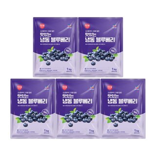CJ프레시웨이 이츠웰 냉동블루베리1Kg x 5개