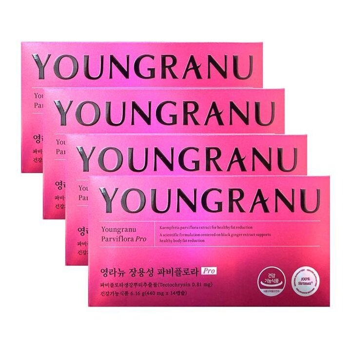 [영라뉴]장용성파비플로라PRO440mgx14캡슐4박스-SDL-