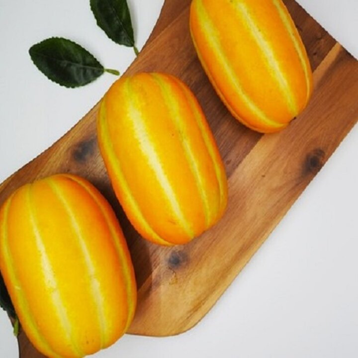 [SW] 성주참외 햇꿀참외 1kg 랜던혼합과