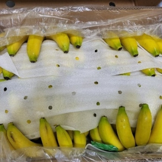 항공직수입 고당도 필리핀 고당도 바나나 13kg(6송이)16819244588725
