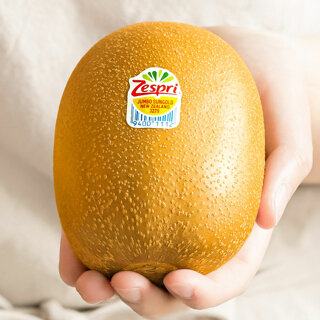 [맛젤] 제스프리 메가점보 골드키위 2.9kg(개당 185g 내외, 16입)