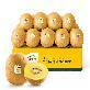[맛젤] 제스프리 특대 골드키위 2.2kg(개당 140g 내외, 16입)