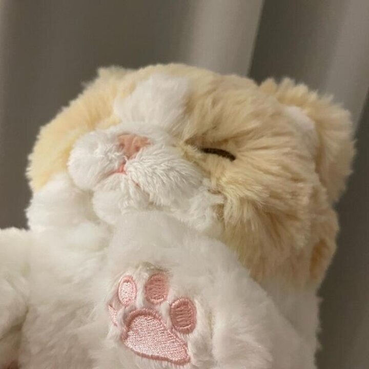 아트박스/콤비니 [선레몬] 무릎인형 잠자는 쓰야쓰야 고양이 인형 (CR)