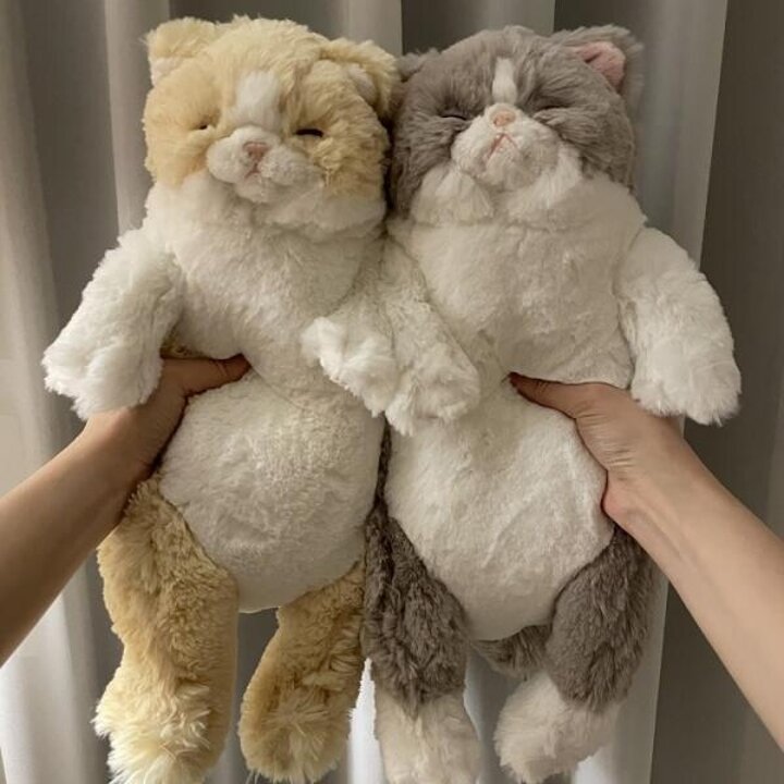 아트박스/콤비니 [선레몬] 무릎인형 잠자는 쓰야쓰야 고양이 인형 (CR)
