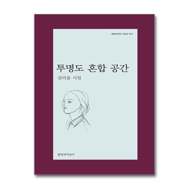 투명도 혼합 공간 (문학과지성 시인선 571)
