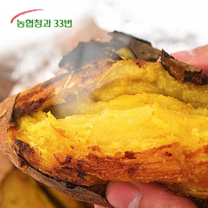 [농협청과33번] 25년 햇 꿀밤고구마 10kg 왕특 (세척)