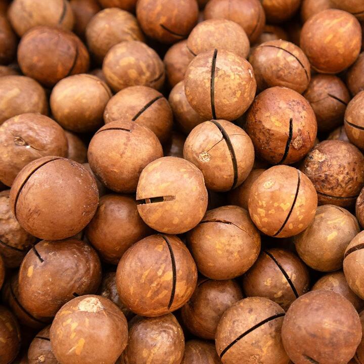 까먹는 통 마카다미아 250g 1봉