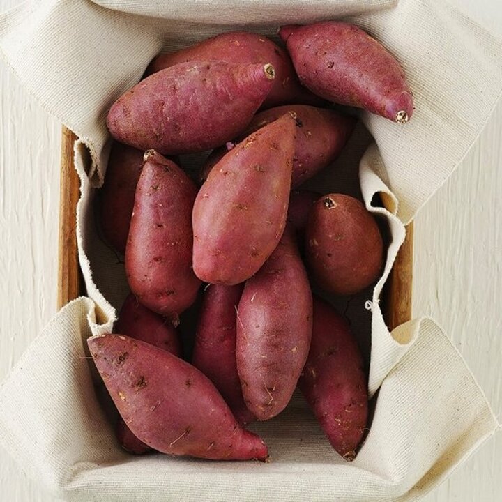 (신세계타임스퀘어점리빙관)백수네 꿀고구마 3kg