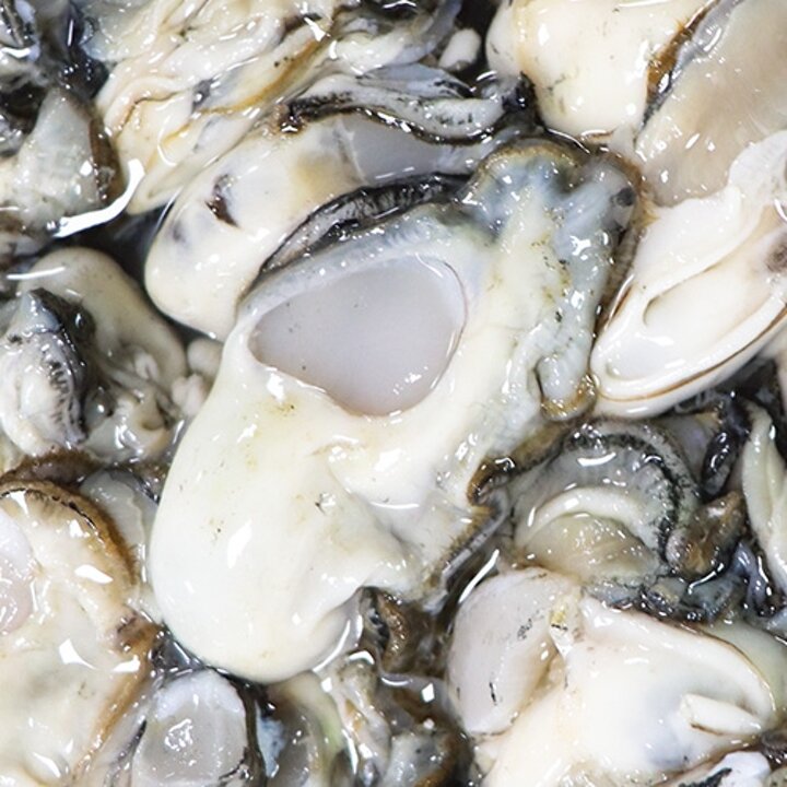 [통영수산물시장] 통영 생굴 1kg
