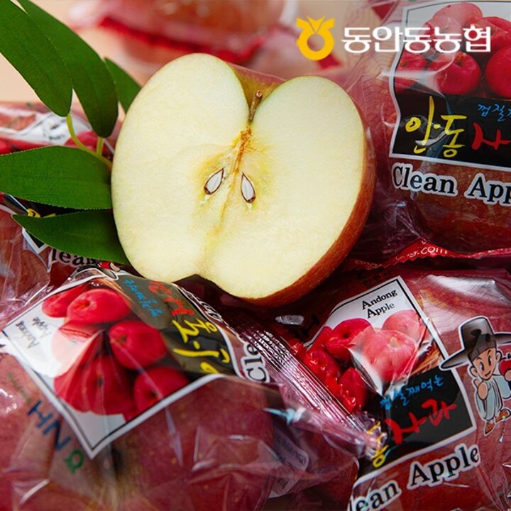 동안동농협 고당도 정품 세척 사과 3kg (16과내) x 2박스