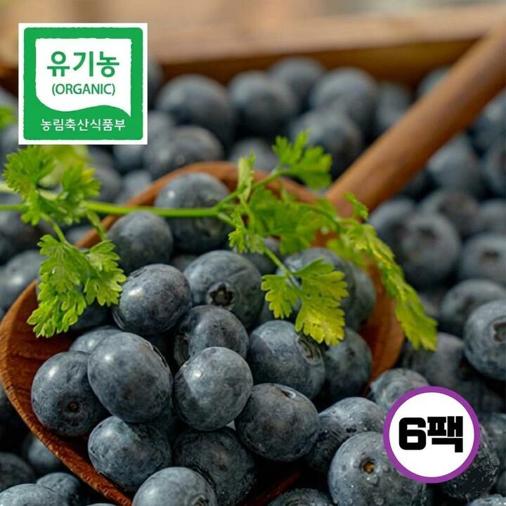 [특등급]국내산 유기농 생 블루베리 100g x 6팩(총 600g, 14-17mm)