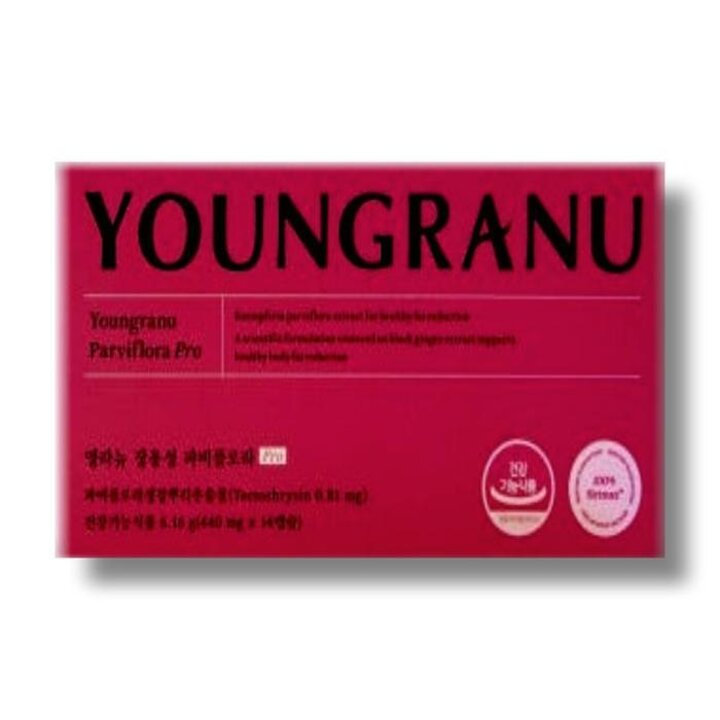 영라뉴장용성파비플로라PRO440mg14캡슐