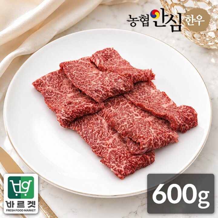 농협안심한우 1등급 한우 살치살 600g(300g x 2팩)