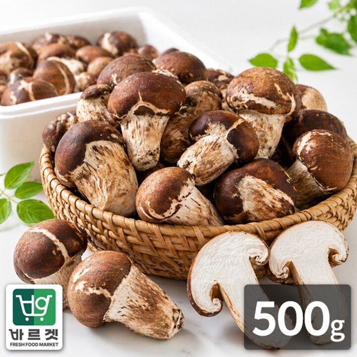 전라남도 나주 참바른 참송이 버섯 500g 바르겟