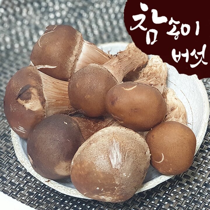 [산지직송] 국내산 참송이버섯 500g(상/못난이 랜덤)