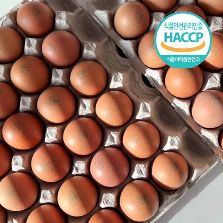HACCP인증 저온숙성 국내산 구운계란(대란) 60구