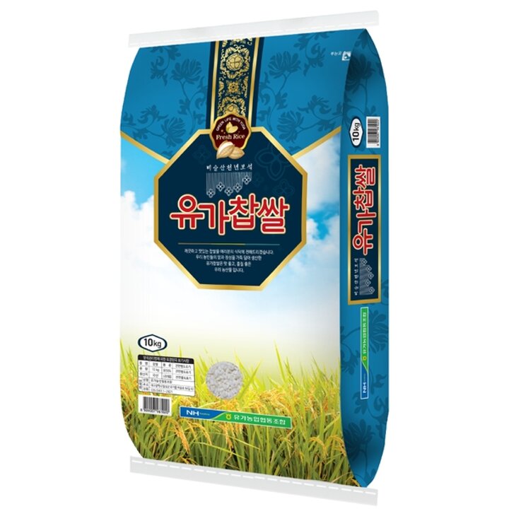(대구신세계)찹쌀10kg 유가찹쌀 달성군 특산품 2025년산 햅쌀