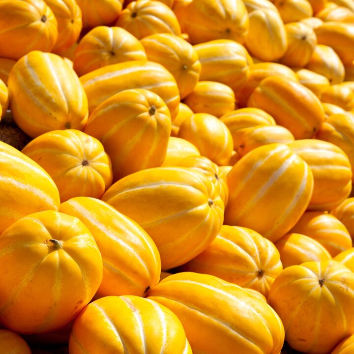 가정용 성주 참외 소과 3kg(15-21과 내외)