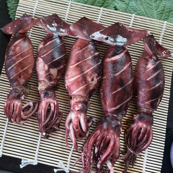 통찜용 오징어 8-14미 1kg내외