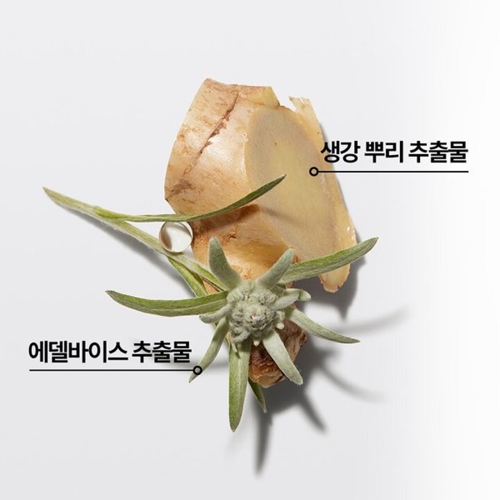 (신세계강남점)제네시스 헤어 마스크 트리트먼트 200ml [얇은모발용/새싹케어]