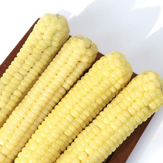괴산 급냉 찐 대학 찰옥수수 15개입