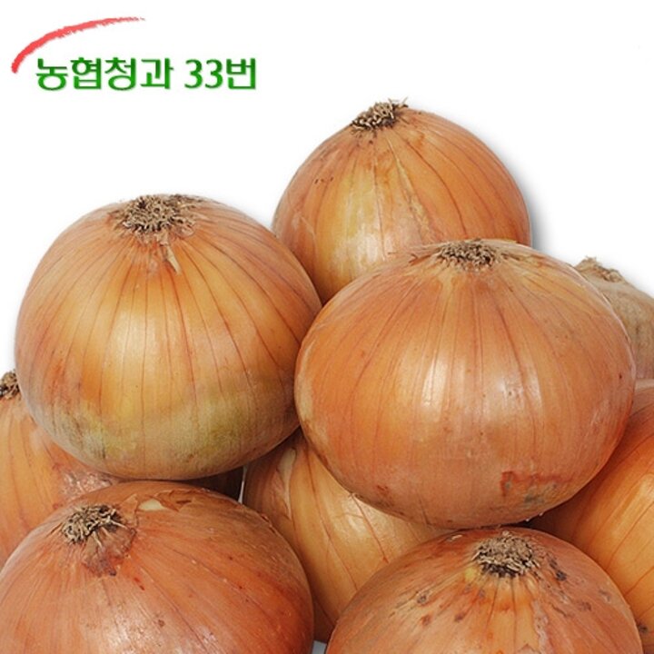 [농협청과33번] 양파 4kg - 중