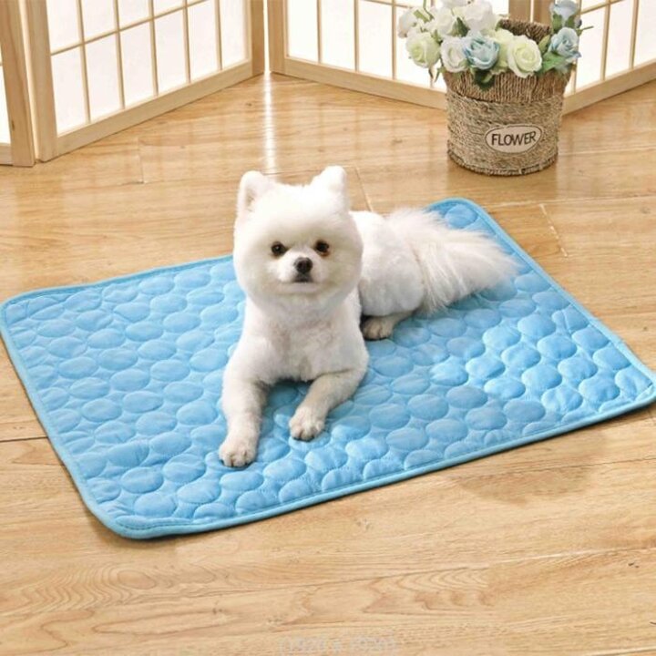 [파란상점] 반려동물 쿨매트 강아지 고양이 쿨방석 애견 애묘 (14271352)