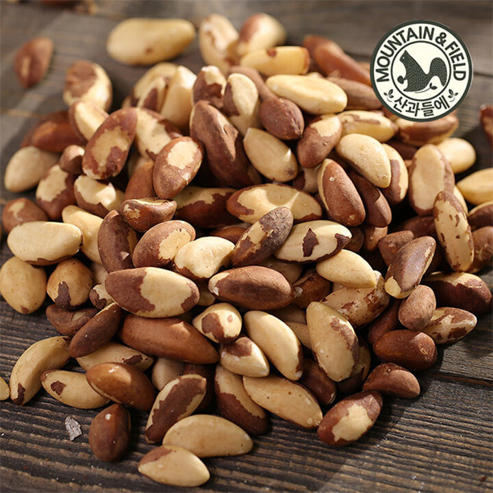 [산과들에] 25년산 햇 브라질너트 500g x3봉 (총1.5kg 완태)