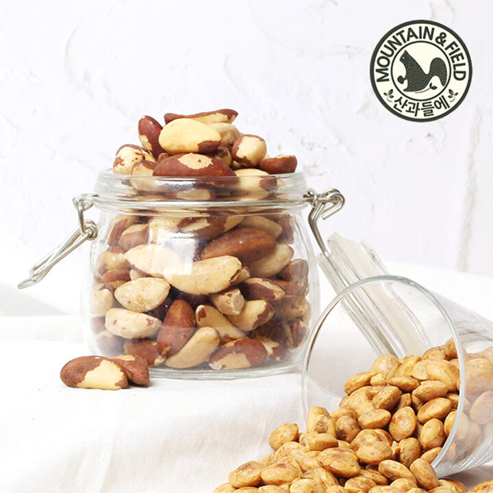 [산과들에] 25년산 햇 브라질너트 500g x3봉 (총1.5kg 완태)