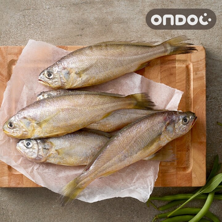 [온도씨]국내산 제주 참조기 1kg내외 (대/10마리/마리당100g내외)