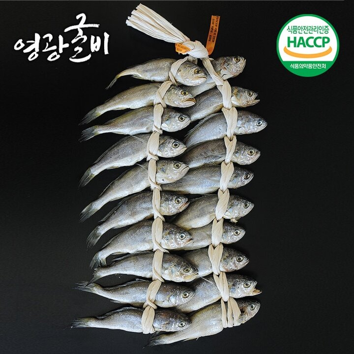 [굴비장인] 법성포 영광굴비 1.4kg (20미/17-18cm)