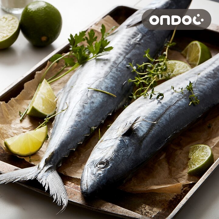 [온도씨]제주 손질 삼치살 5팩 (대/팩당300-400g)