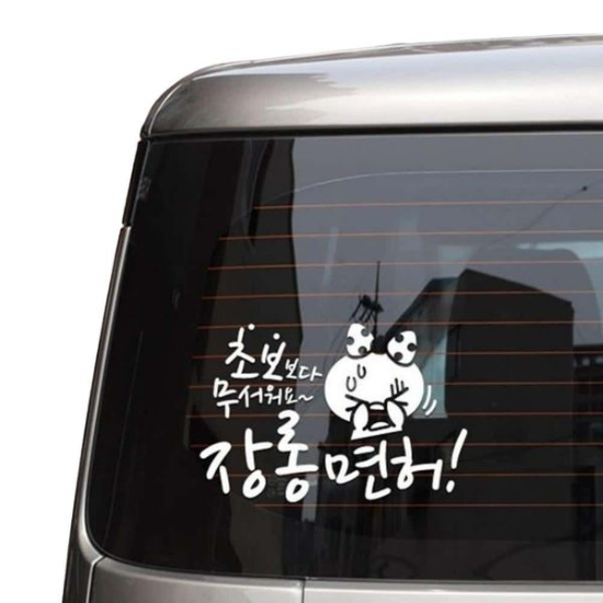 자동차스티커 장롱면허 쁘띠 초보운전 화이트시트지