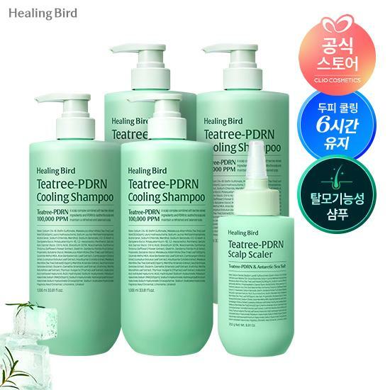 힐링버드 티트리 PDRN 쿨링 샴푸 1000ml 4통  두피스케일러 250g 1통 