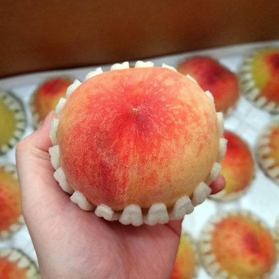 (주)셀러허브 52703111-조치원 백도 복숭아 4kg 8-10과 특대과 말랑이복숭아 물복 숭아 쫀득복숭아 말랑복숭아 조치원복