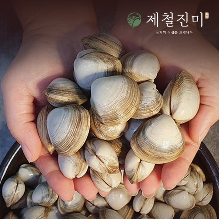 제철진미 유네스코 서천갯벌 자연산 제철 동죽조개 4kg 신선한 산소포장 산지직송